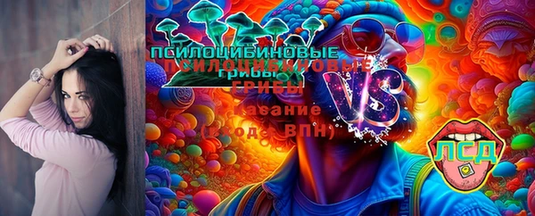 a pvp Абинск