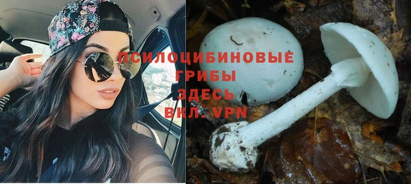 экстази Сафоново